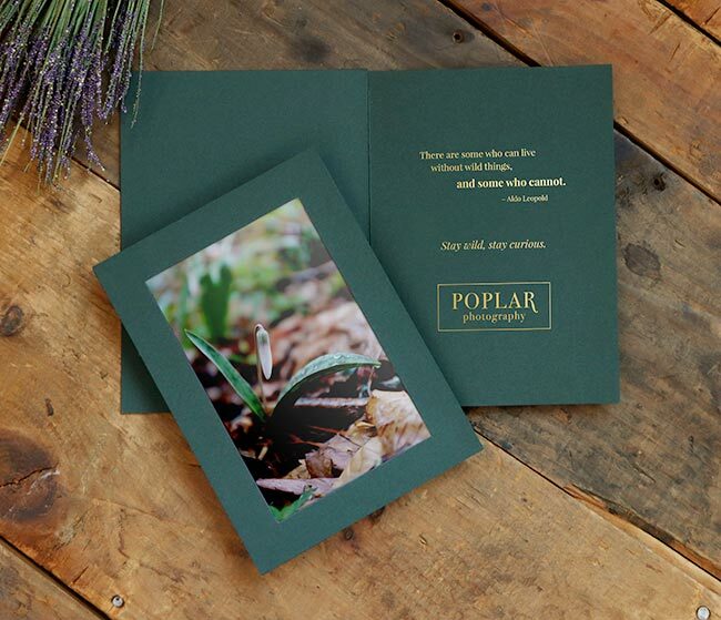 Green card frames a picture of a spring flower. Inside the card is a metallic gold foil quote imprint.