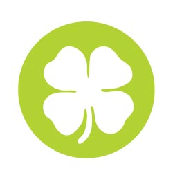 St. Patrick's Day icon