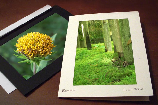 Black and white nature photo cards.