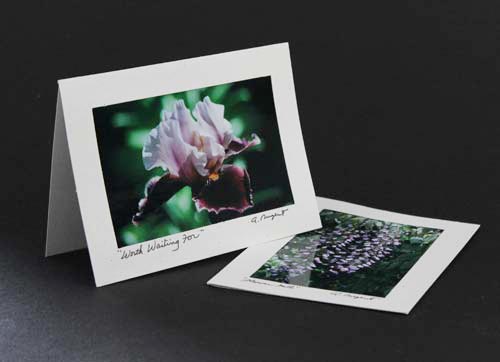 Nature photo insert cards with flower photos