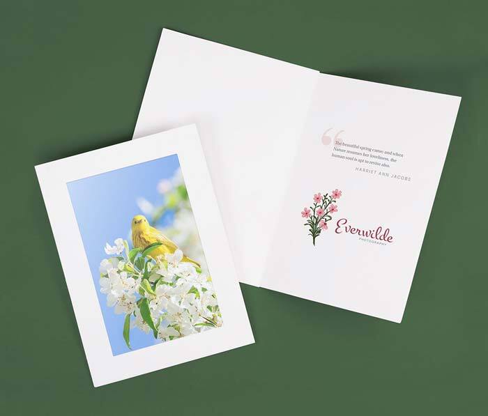 White, black, and natural flax photo insert cards with an envelope