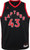 Jordan Youth Toronto Raptors Pascal Siakam #43 2020-21 Dri-Fit Statement Swingman Black Jersey