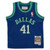 Dirk Nowitzki Dallas Mavericks Mitchell & Ness 1998/99 Hardwood Classics Retired Player Jersey - Blue