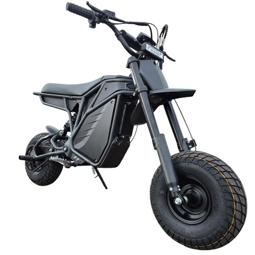 Electro & Co The Rizzler Electric Mini Bike
