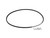 Luna FIXED Replacement Gates Carbon CDX Belt