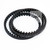 Luna BABE Replacement Gates Carbon CDX Belt