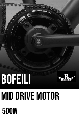 Boefili Mid Drive