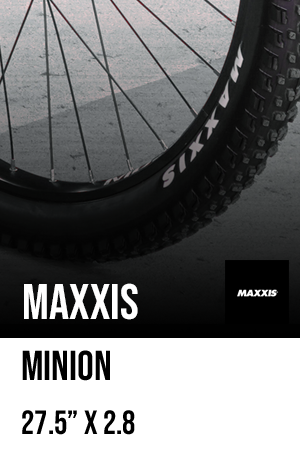 Maxxis Minion Tires