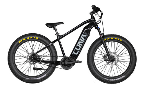 fat ebike