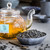 Gunpowder, Infuse Tea, 100 pouches