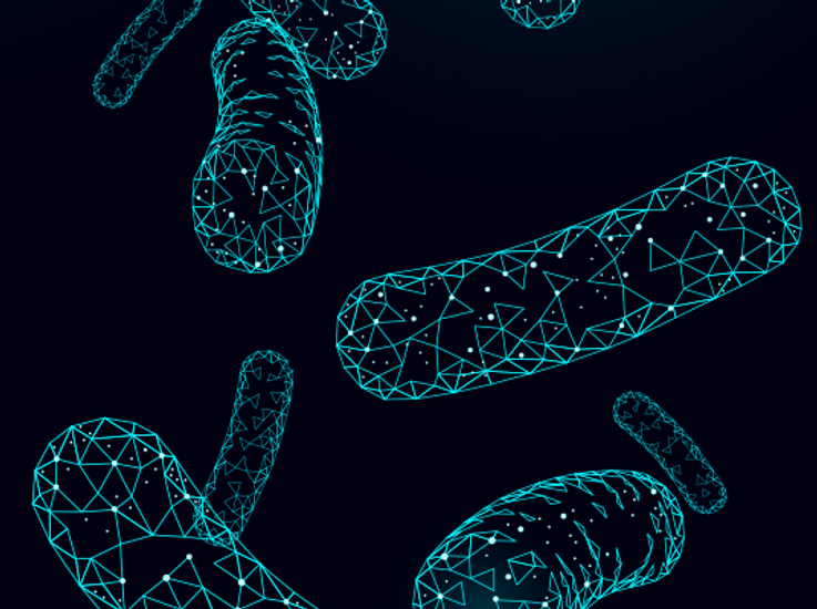 NCK2025 offers protection against induced colitis in pre-clinical study