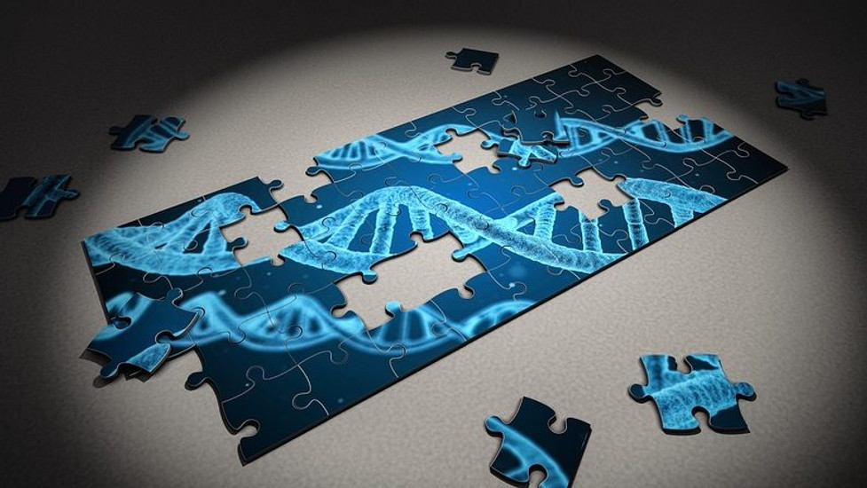 New probiotic supplement targeting GI inflammation has NC State roots – here’s the back story