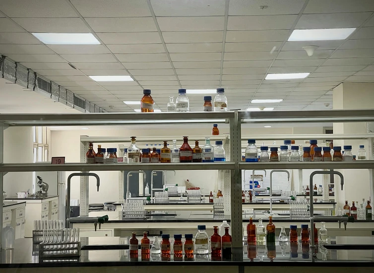 The NC State Lab That Spent 40 Years Engineering a Better Probiotic