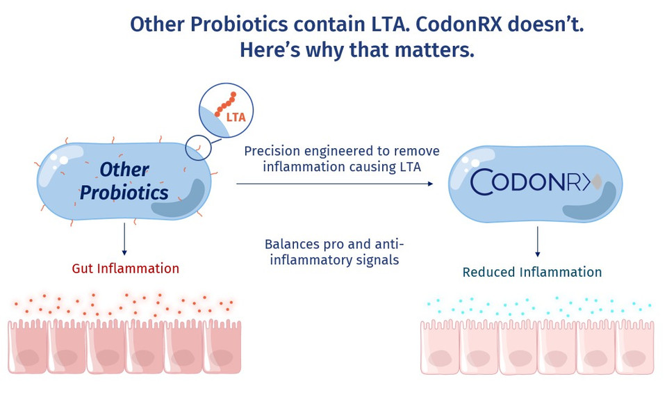 CodonRX | AI High Potency Probiotic Capsules for Dietary Management of Digestive and Gut Health