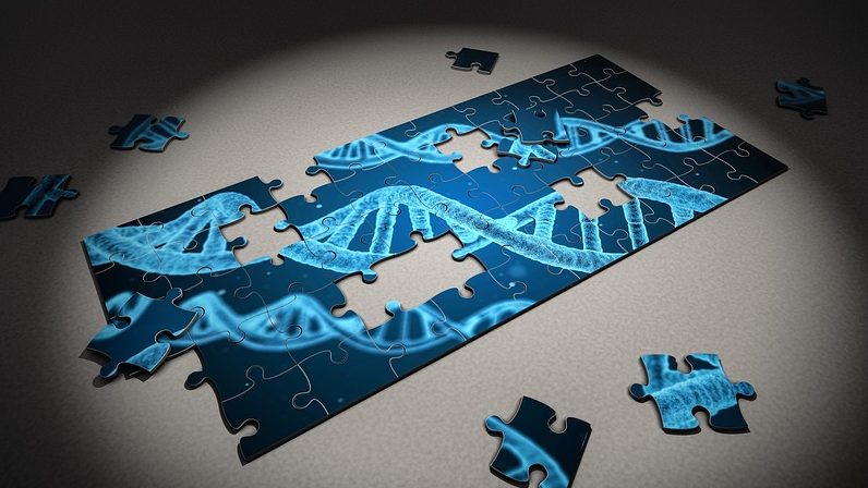 Precision science and gut biology