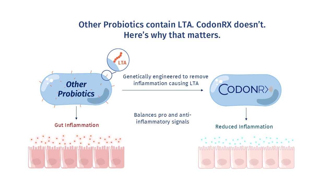 CodonRX LTA gene deletion — how it differs from standard probiotics
