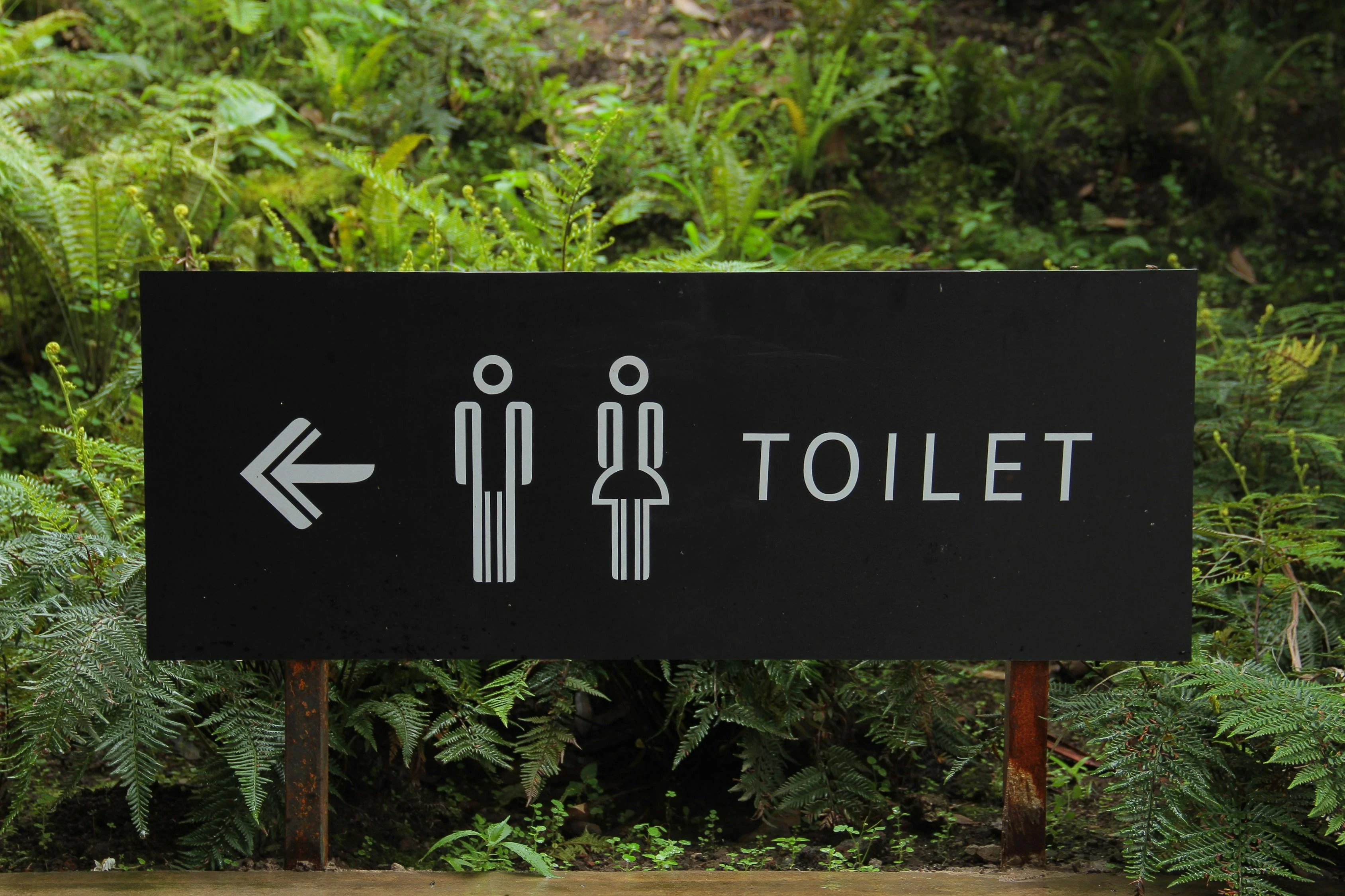 Ally's Law and Restroom Finder Apps