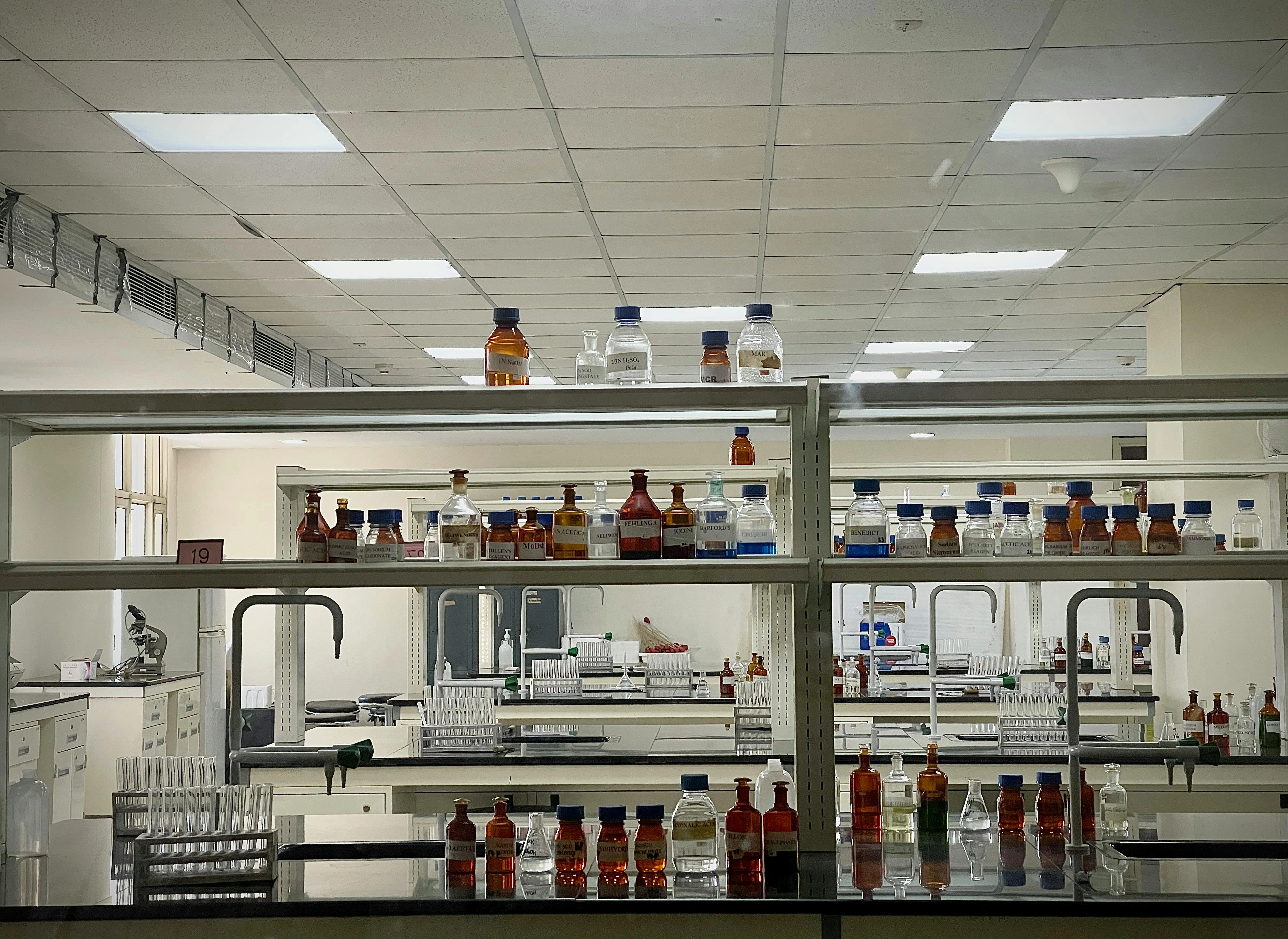 The NC State Lab That Spent 40 Years Engineering a Better Probiotic