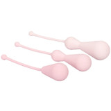 Inspire Weighted Silicone Kegel Training Kit