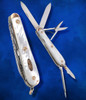 French, J.T. Hallmarked Gentlemen's Multi-Blade Knife, Gold Bolsters, Rosette Pins & Shield, c. 1850-60's