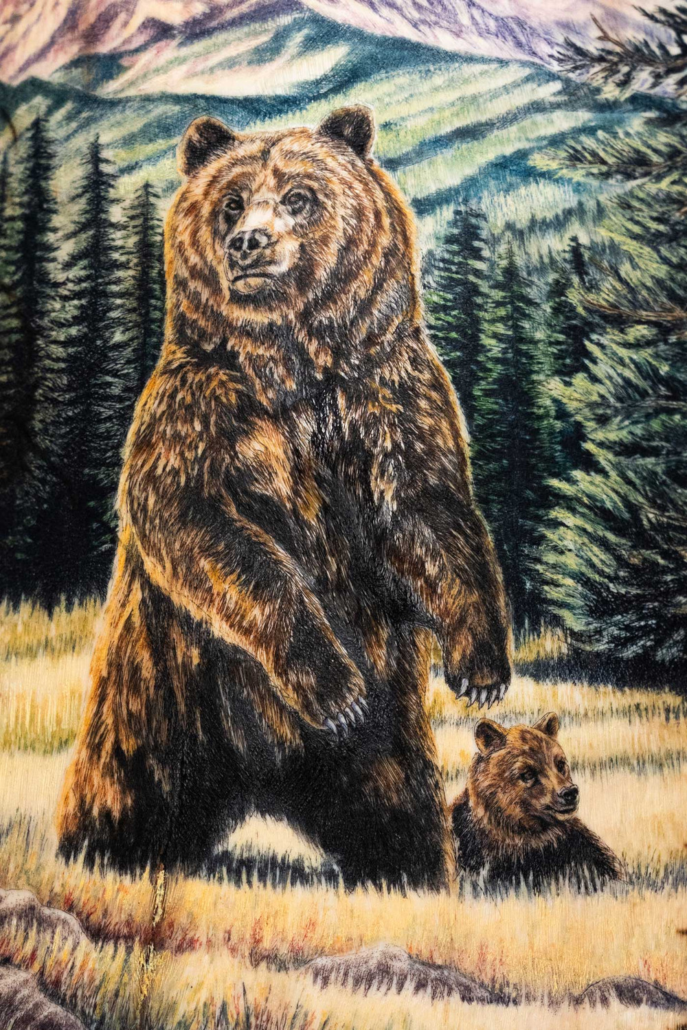 Stothart, Matt, Grizzly Bear Scene with Cub Scrimshaw in Color on