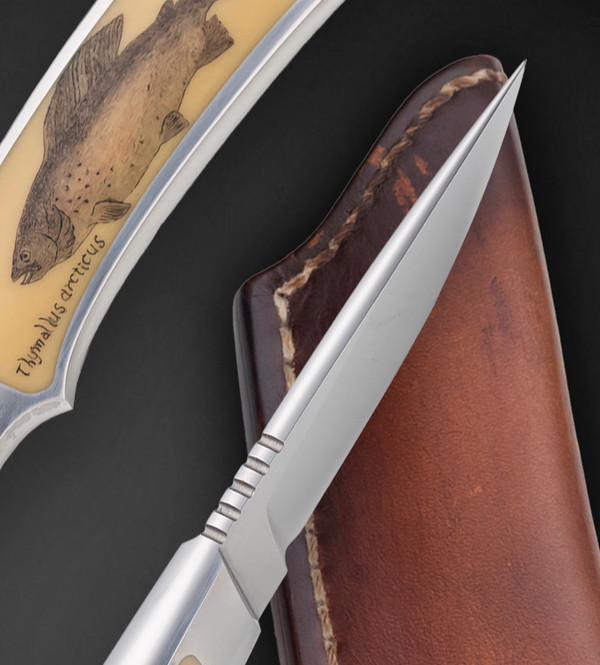 Integral Stainless Steel Trout & Bird Knife with Ivory Micarta Inlays and Colored Scrimshaw of Atlantic Salmon and Arctic Grayling Fish by Richard Hodgson