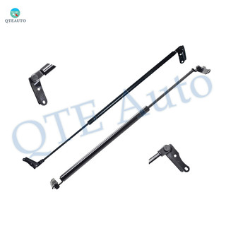 Pair of 2 Rear Left-Right Liftgate Lift Support For 1991-1997 Toyota Previa