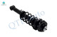 Rear Left Quick Complete Strut-Coil Spring Assembly For 2002-2006 Mini Cooper