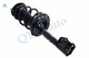 Front-Rear Set 4 Quick Complete Strut-Coil Spring Replacement For 2009-2012 Toyota Venza FWD