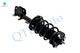 Pair of 2 Front Left-Right Quick Complete Strut-Coil Spring Assembly Replacement For 2013-2017 Honda Odyssey