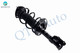 Front Right Quick Complete Strut-Coil Spring Assembly For 2016 Scion IA