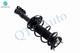 Front Right Quick Complete Strut-Coil Spring Assembly For 2016 Scion IA