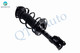 Front Right Quick Complete Strut-Coil Spring Assembly For 2016 Scion IA