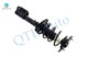 Pair Rear Quick Complete Strut - Coil Spring For 1998-2002 Oldsmobile Intrigue
