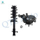 Front Right Suspension Knuckle Assembly-Quick Complete Strut-Coil Spring Assembly For 2012-2014 Ford Edge