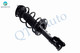 Front Left Quick Complete Strut-Coil Spring Assembly For 2016 Scion IA