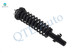 Front Quick Complete Strut-Coil Spring Assembly For 1995-1998 Honda Odyssey