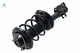 Front Left Lower Control Arm Ball Joint-Quick Complete Strut-Coil Spring Assembly For 2002-2004 Infiniti I35