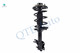 Set of 4 Front Lower Control Arm Ball Joint-Quick Complete Strut-Coil Spring Assembly For 2001-2003 Nissan Maxima