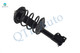 Set of 6 Front Lower Control Arm Ball Joint-Wheel Hub Bearing Assembly-Quick Complete Strut-Coil Spring Assembly For 2000 Nissan Maxima