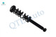 Rear Quick Complete Strut-Coil Spring Assembly-Wheel Hub Bearing Assembly For 2001-2003 BMW 525i