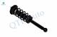 Rear Quick Complete Strut-Coil Spring Assembly-Wheel Hub Bearing Assembly For 2001-2003 Nissan Maxima