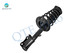 Rear Left Quick Complete Strut-Coil Spring Assembly-Wheel Hub Bearing Assembly For 2004 Toyota Avalon