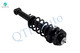 Rear Left Wheel Hub Bearing Assembly-Quick Complete Strut-Coil Spring Assembly For 2002-2006 Mini Cooper