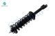 Rear Left Quick Complete Strut-Coil Spring For 2010 2011 Honda Accord Crosstour