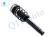Set of 4 Front Quick Complete Strut-Coil Spring-Rear Shock For 2013-2015 BMW X1