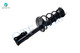 Rear Left Quick Complete Strut-Coil Spring For 2002-2003 Toyota Camry