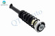 Rear Right Quick Complete Strut-Coil Spring Assembly For 2008-2010 BMW 528I