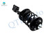 Pair Front Left-Right Quick Complete Strut-Coil Spring For 2001-2002 Acura Mdx