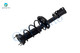 Pair Rear Left-Right Quick Complete Strut-Coil Spring For 2002-2003 Lexus Es300